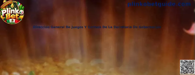 Guía de Plinko Bet para consultar información de la Dirección General de Juegos y Sorteos de SEGOB