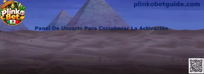 Panel De Usuario Para Corroborar La Activación en Plinko Bet