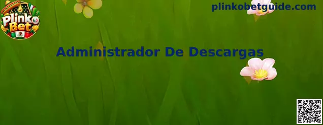Guía visual de Plinko Bet para localizar archivos en el Administrador De Descargas