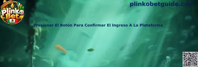 Guía para confirmar de forma segura el ingreso a la plataforma Plinko Bet