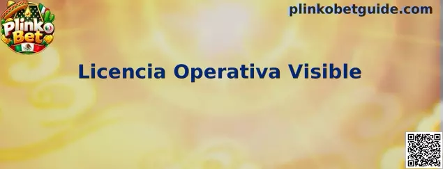 Información sobre Licencia Operativa Visible en Plinko Bet