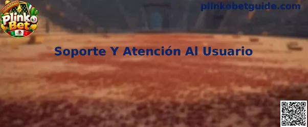 Guía de soporte y atención al usuario de Plinko Bet