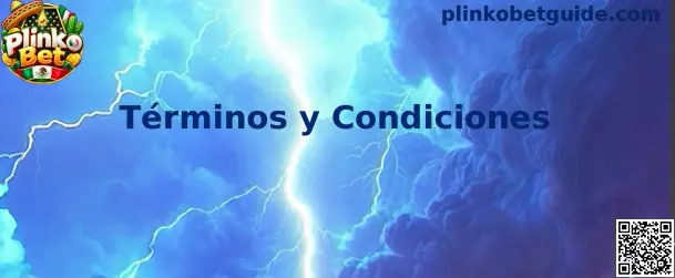 Términos y Condiciones de Plinko Bet